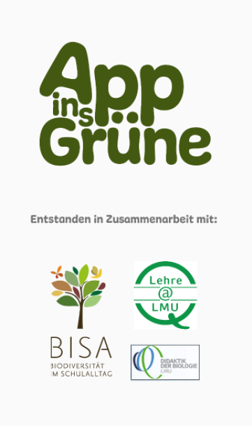 App ins Grüne Splashscreen